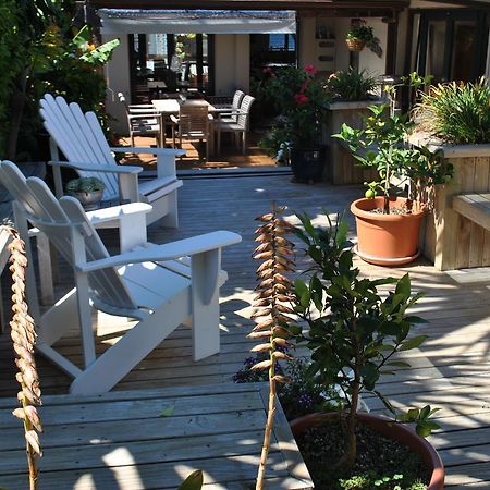 Terry And Cindy'S Bed And Breakfast Auckland Exterior photo